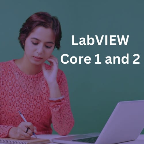 LabVIEW Core 1 and Core 2